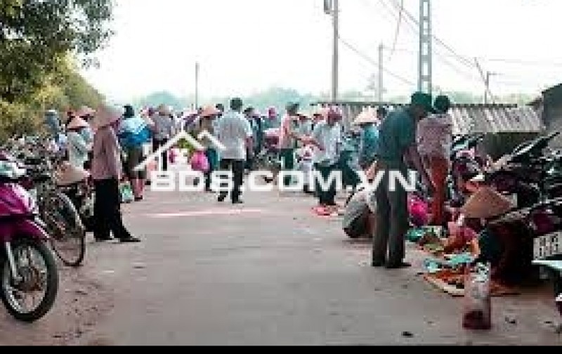 3 LÔ MẶT TIỀN NHỰA 42M, 15X50=750M2 THỔ CƯ SHR, KINH DOANH BUÔN BÁN ĐA NGÀNH GIÁ 105TR/MN